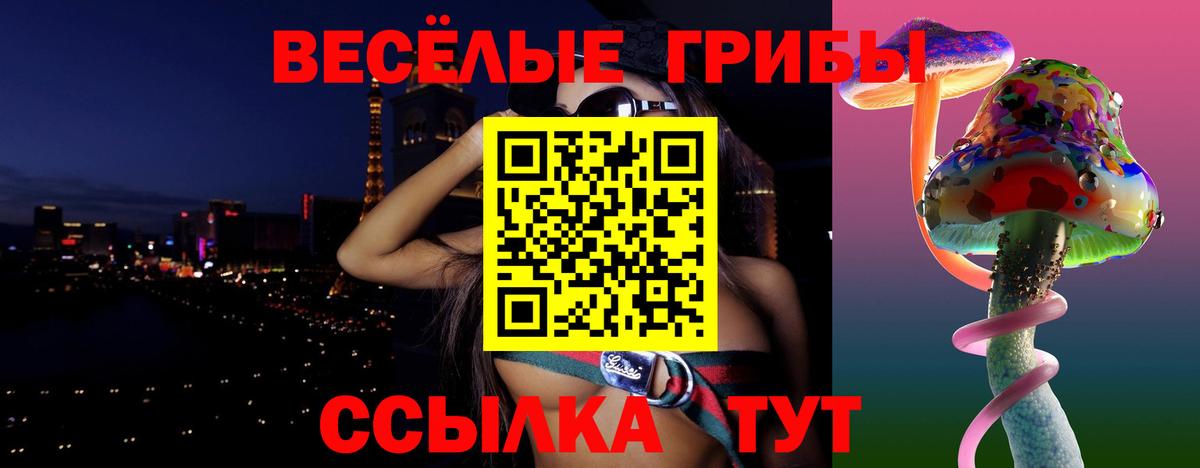 Соликамск  Псилоцибиновые грибы прущие грибы  Вход с VPN 